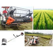Vente de meilleurs récolte de riz en 2014